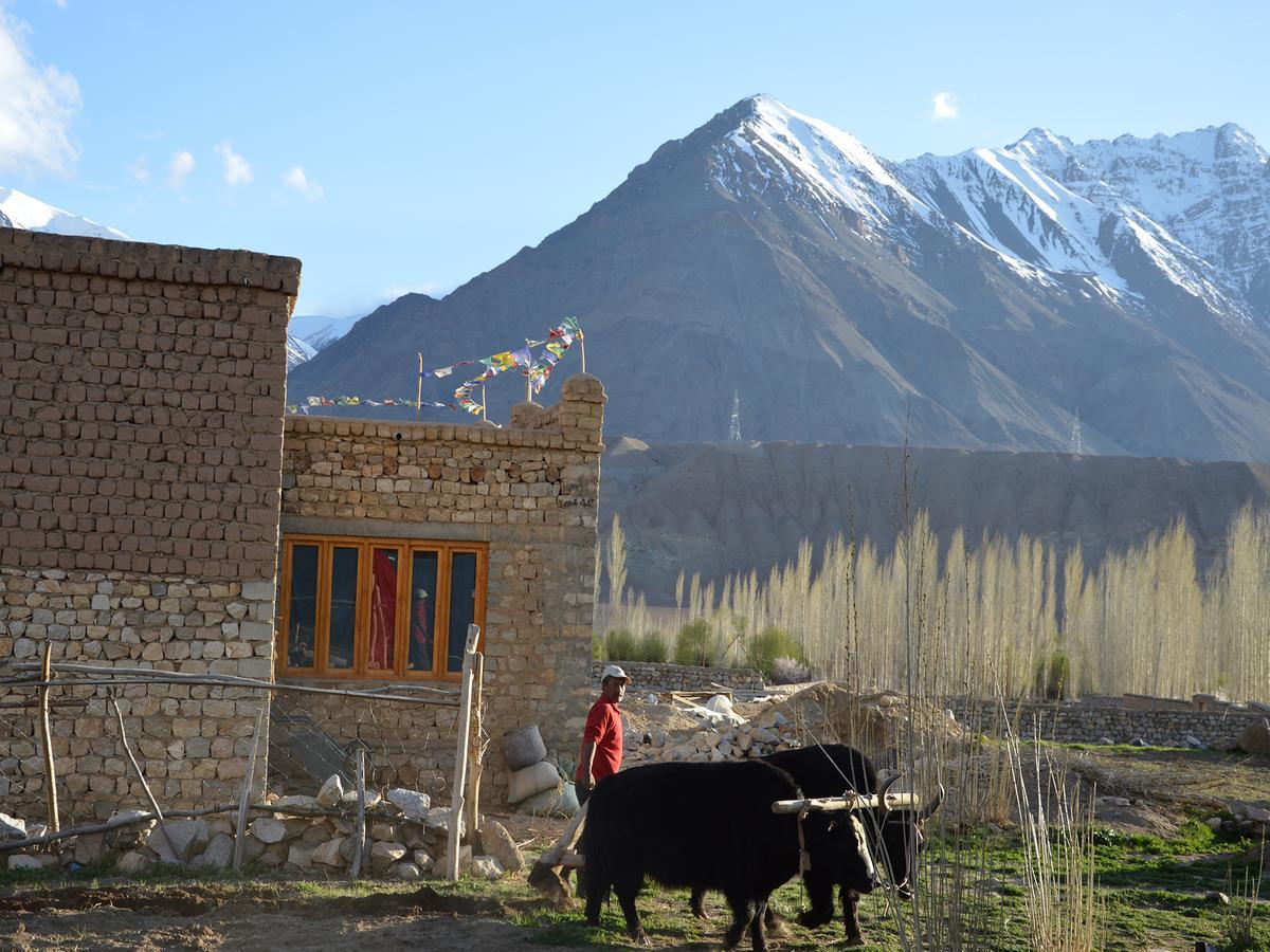 Отель Nimmu House Ladakh Nimu Экстерьер фото